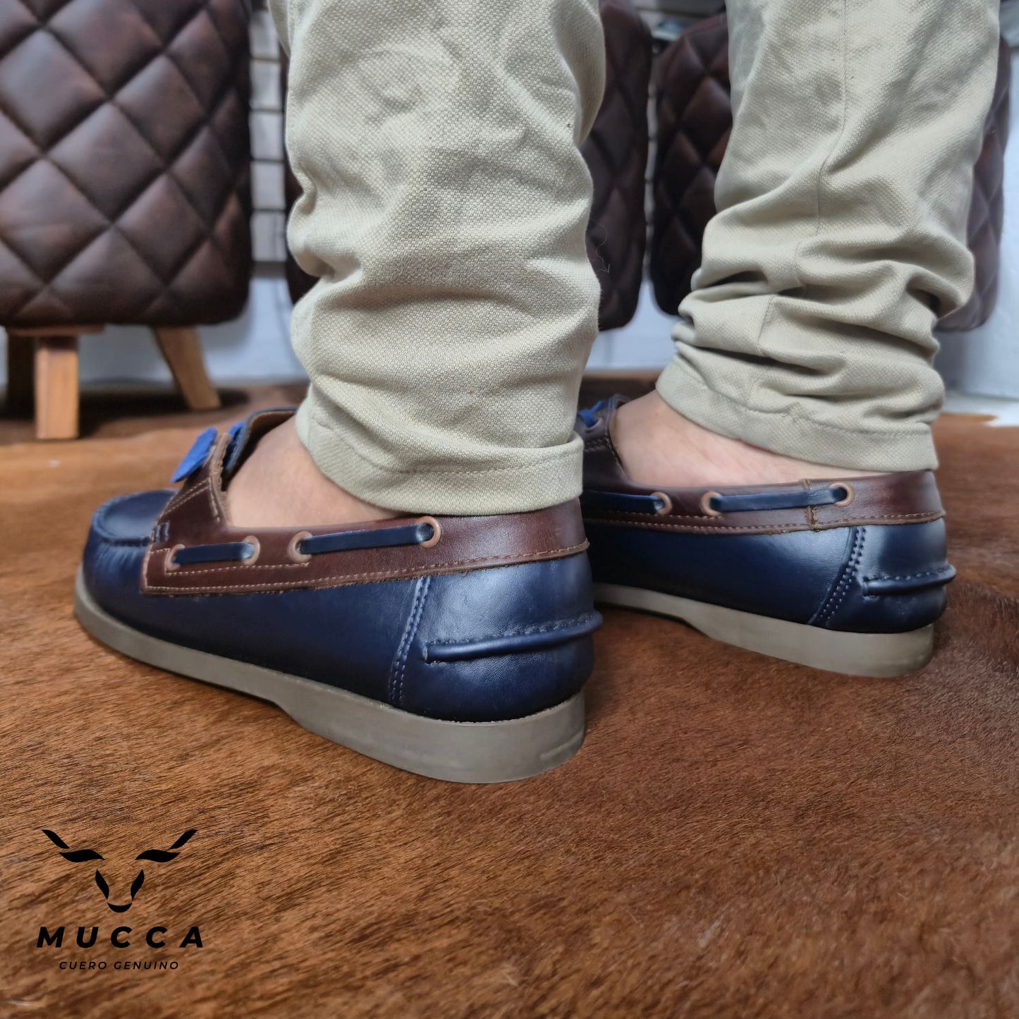 731 Veneciano Azul x Versalles Coñag- Nautico